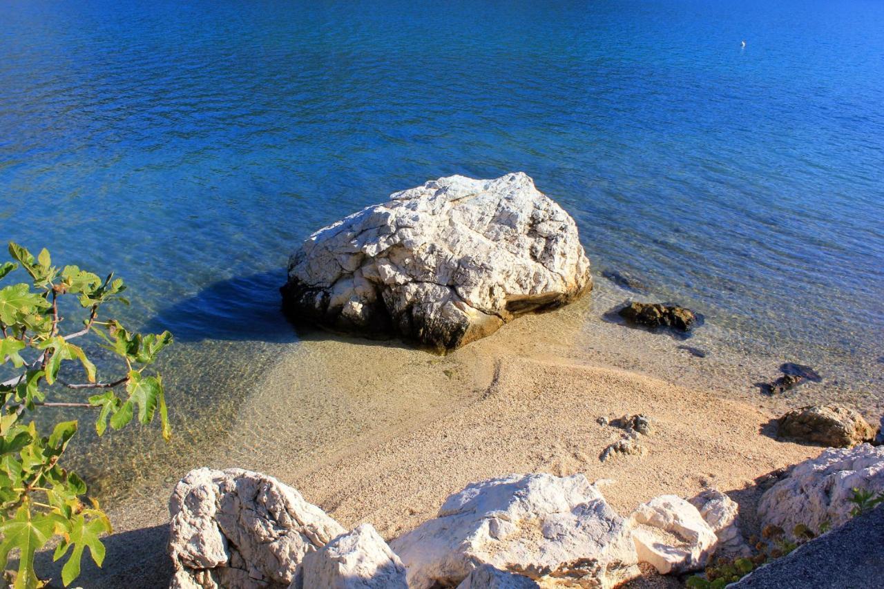 Apartments And Rooms By The Sea Slano, Dubrovnik - 8737 Екстер'єр фото